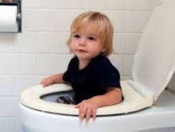 Transitioning to the potty or toilet | Parents guidance | Rainbow Nursery